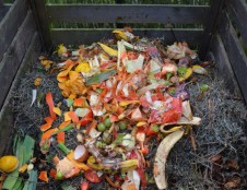 Rekomendacijas buityje susidarančioms biologiškai skaidžioms atliekoms kompostuoti keičia privalomi reikalavimai